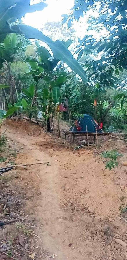 Eastdee Camping Ground Lidlidda Екстериор снимка