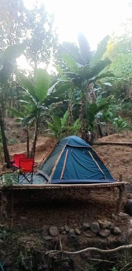 Eastdee Camping Ground Lidlidda Екстериор снимка