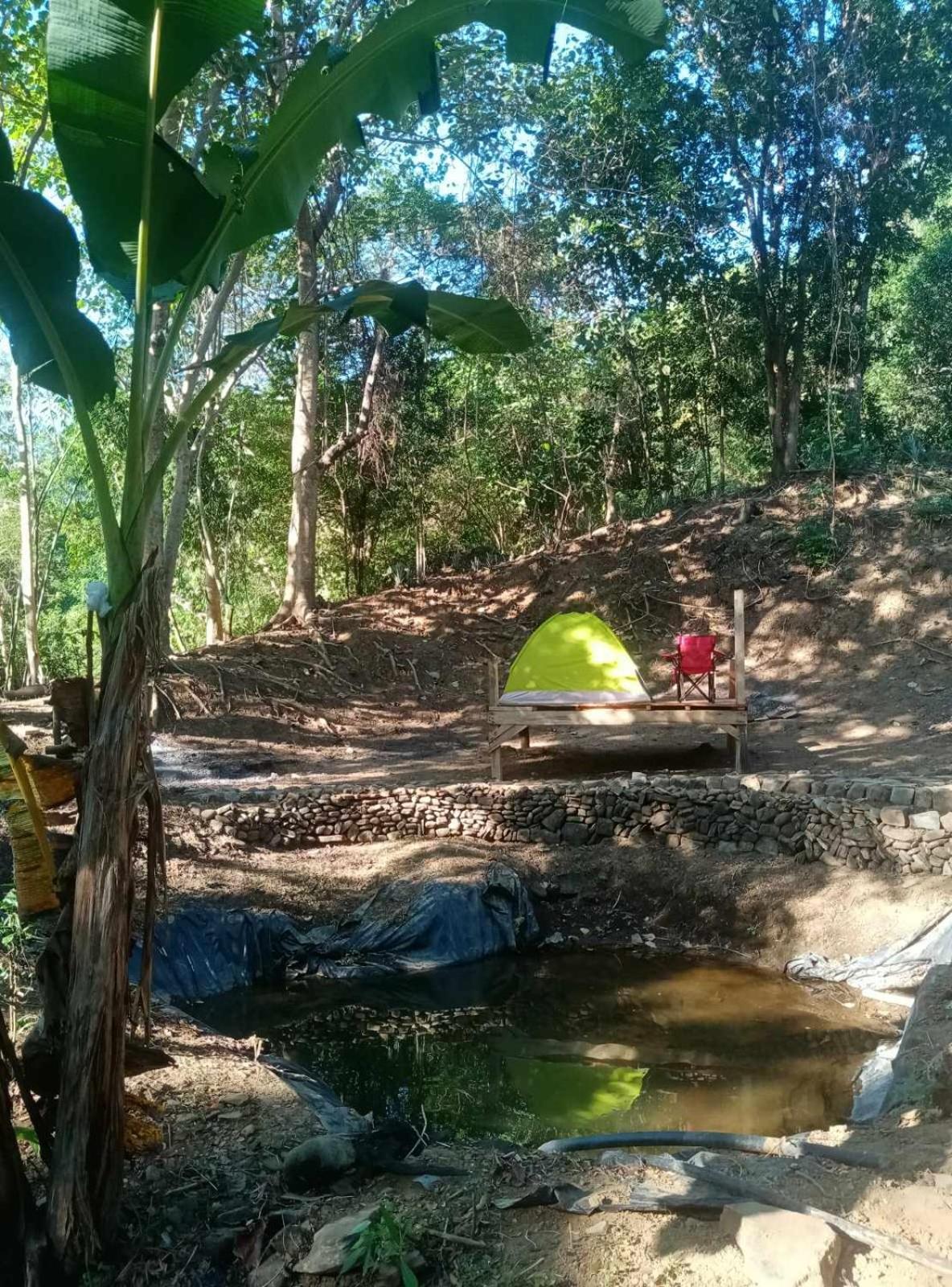 Eastdee Camping Ground Lidlidda Екстериор снимка