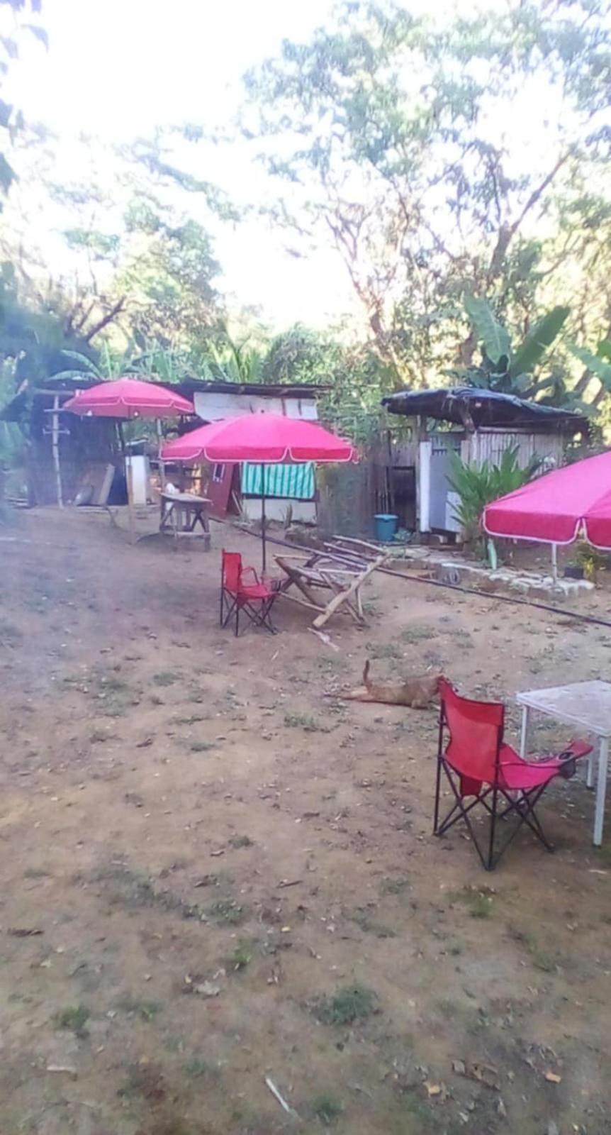 Eastdee Camping Ground Lidlidda Екстериор снимка